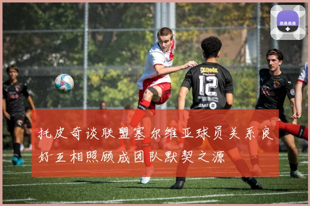 托皮奇谈联盟塞尔维亚球员关系良好互相照顾成团队默契之源